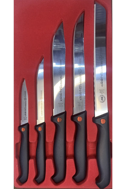8241 5li Profesyonel Şef Bıçak Seti Paslanmaz Çelik Brezilya Malı Tırtıklı Uç Chef Bıçağı