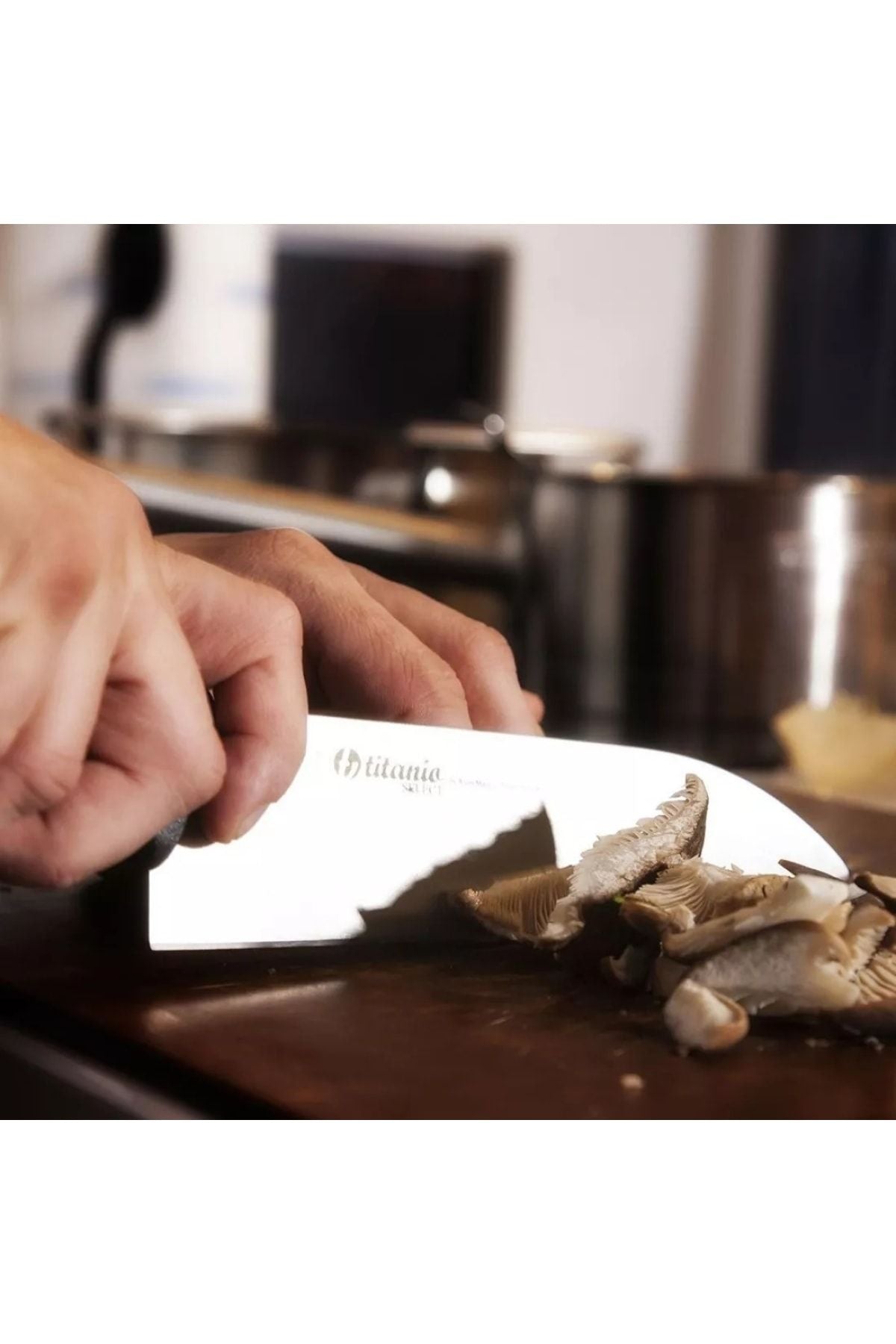 
Titanio 137300 Ispanyol Malı Titanyum Şef Aşçı Bıçağı Profesyonel Chef Mutfak Bıçak Titanium 16 Cm